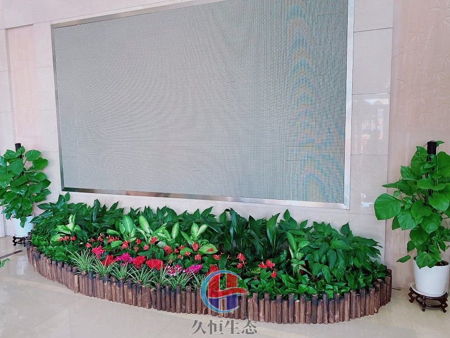 秀洲企业大厅显示屏组合花卉绿植摆放